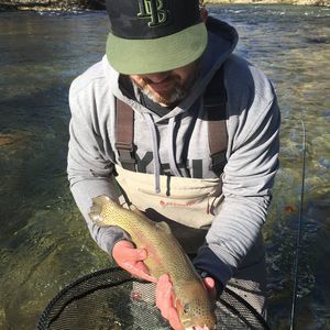 Meet your Posher, William